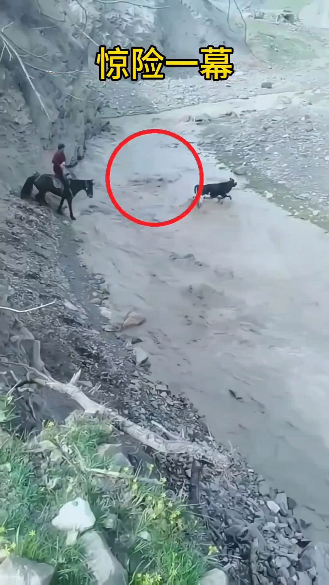 包含惊险场面再现!精彩比赛视频曝光的词条 包含惊险场面再现!精彩比赛视频曝光的词条