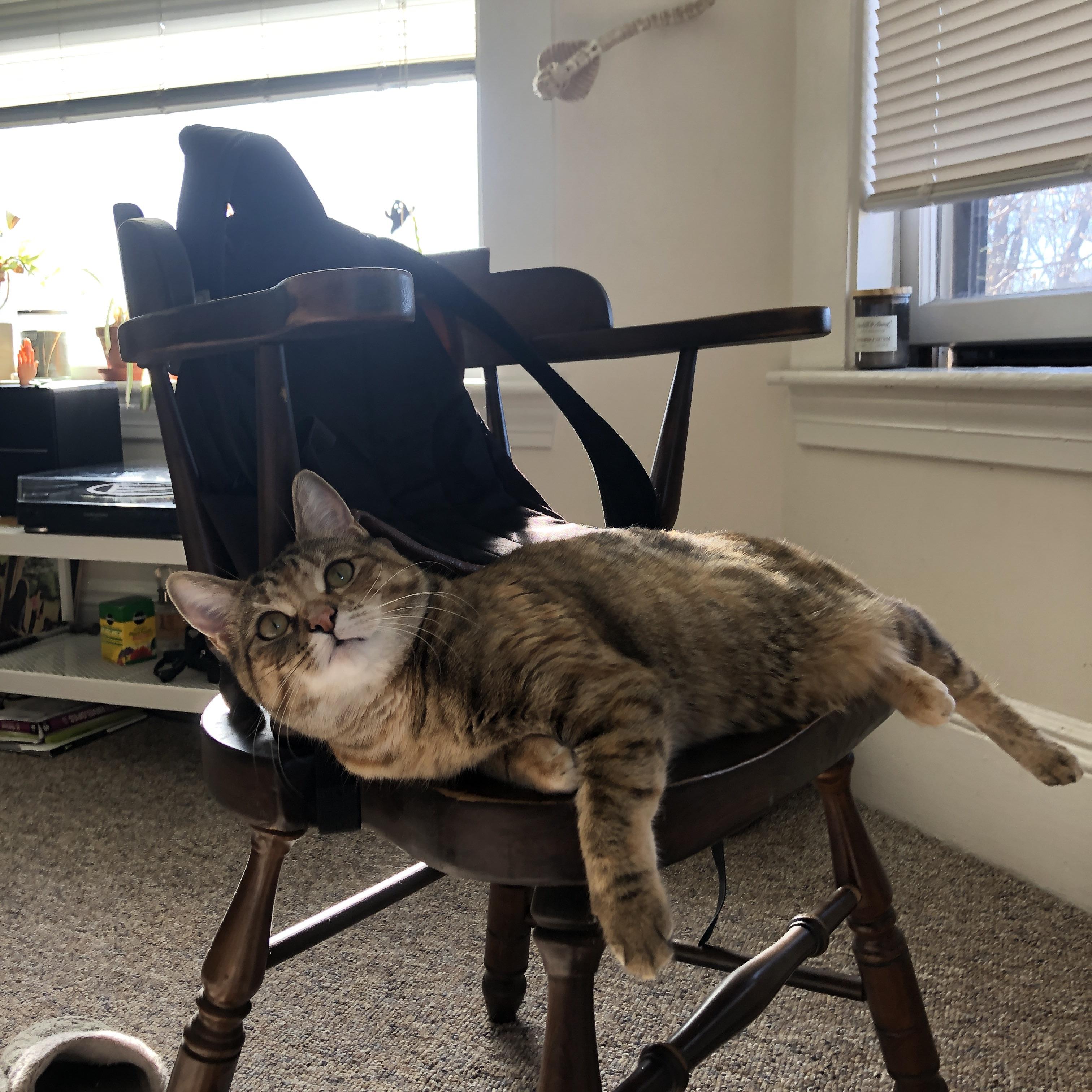 雷火电竞下载-绝对基准线，当伦纳德化身一场永不掉线的精密手术