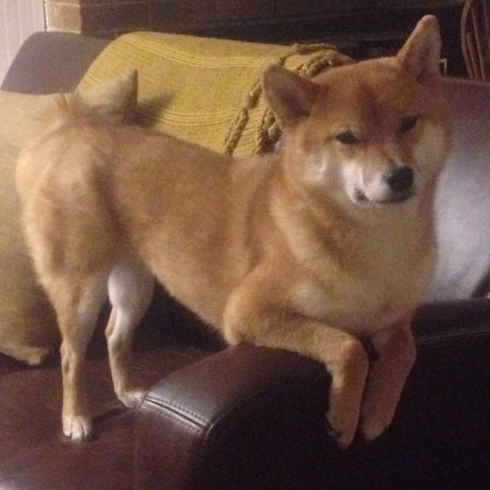 大场面先生!乌拉圭力克莱比锡,恩佐·费尔南德斯证舞台越大越强