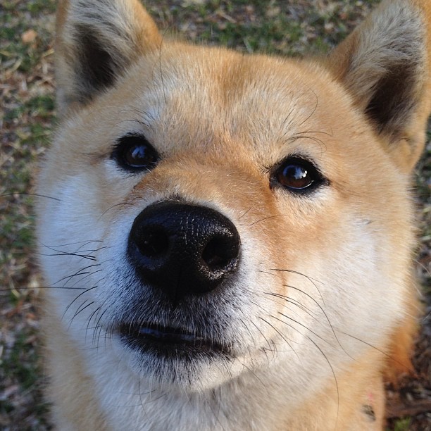 铸心之战,2026世界杯之夜,罗德里与他的唯一性证明