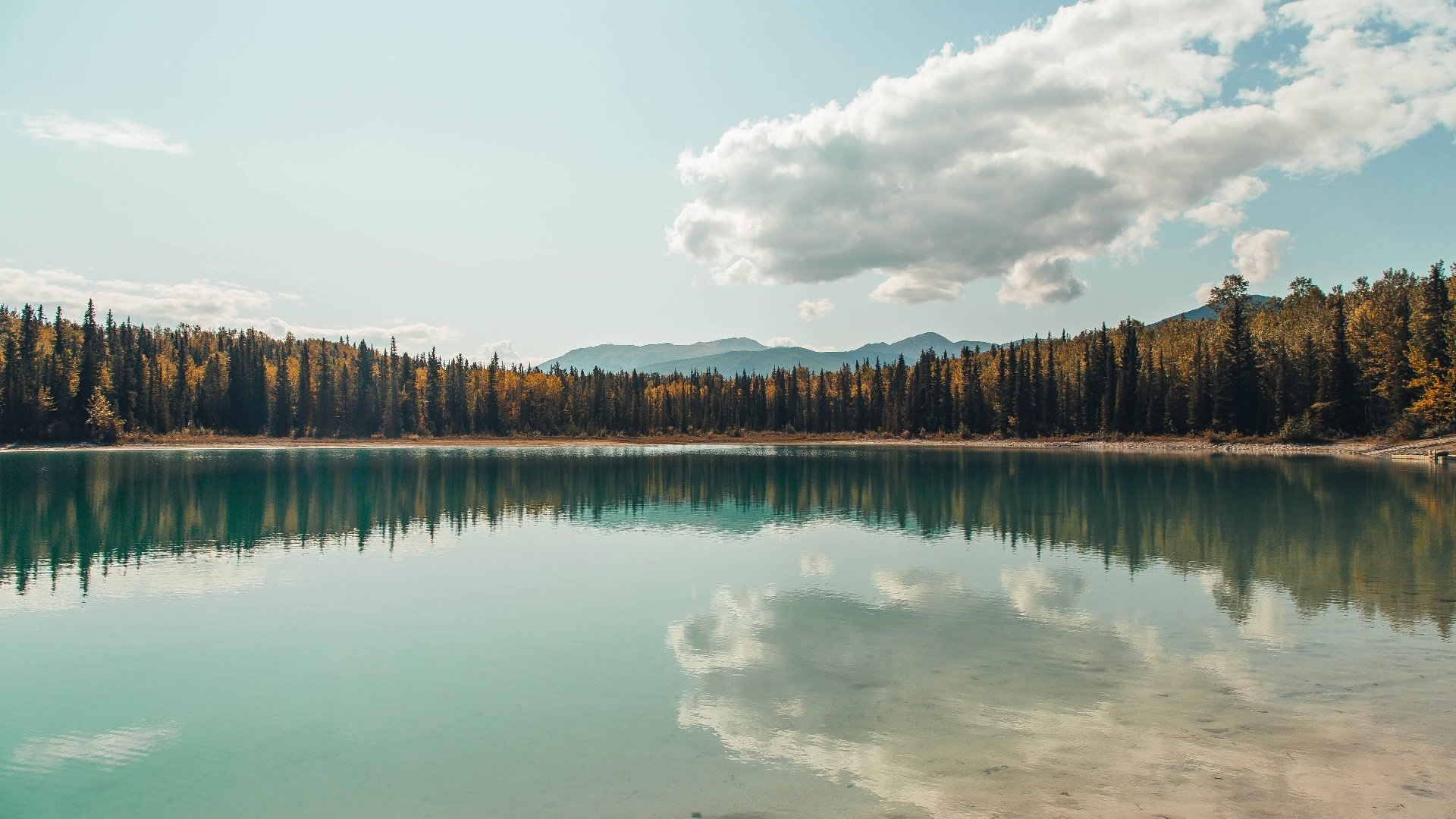 铁骑远征！卡瓦哈尔时空错位的马拉加之吼，皇家社会伊比利亚号踏平突尼斯城