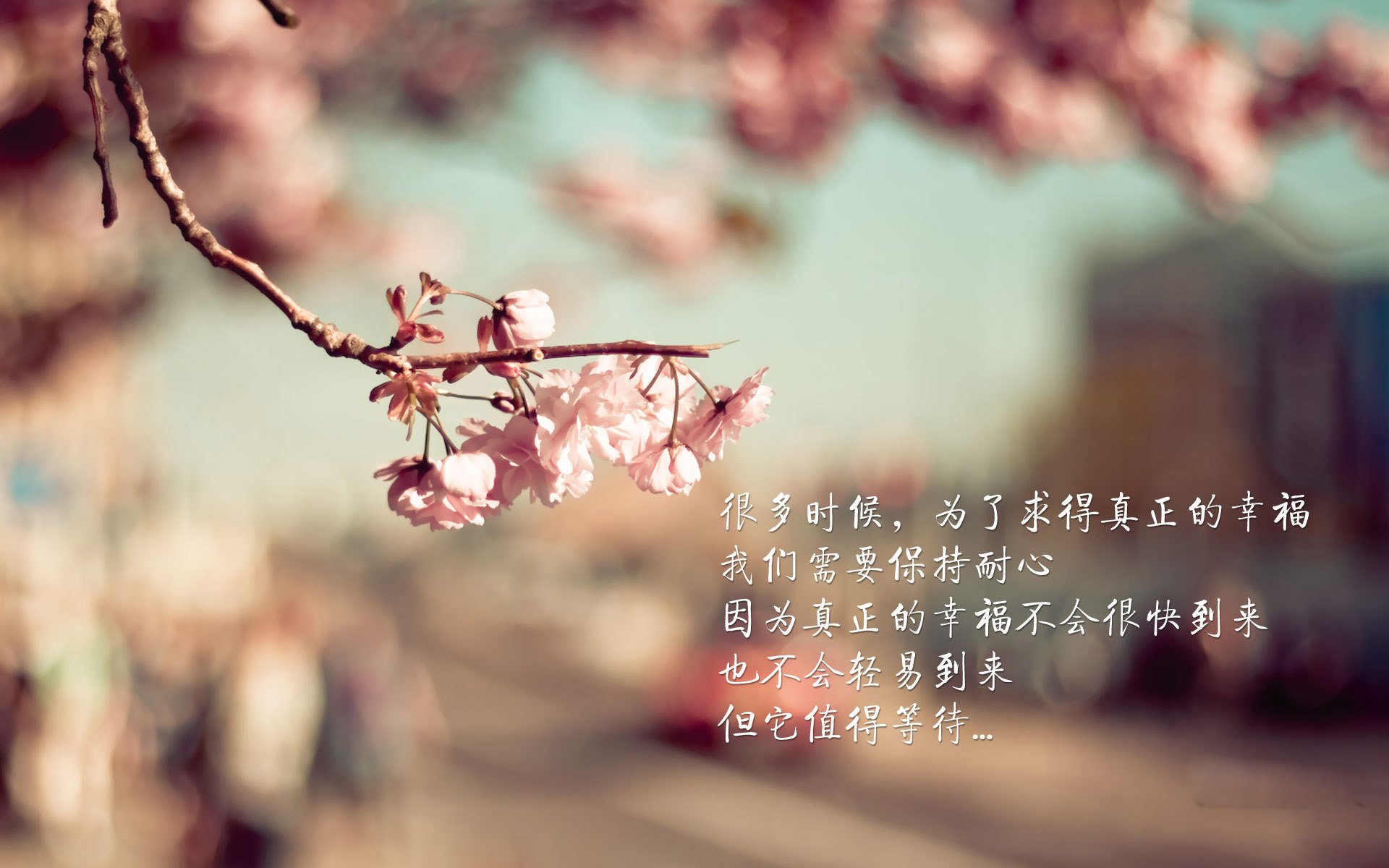 皮克史诗级爆发!苏格兰补时绝战逆转南非,书写绿茵传奇