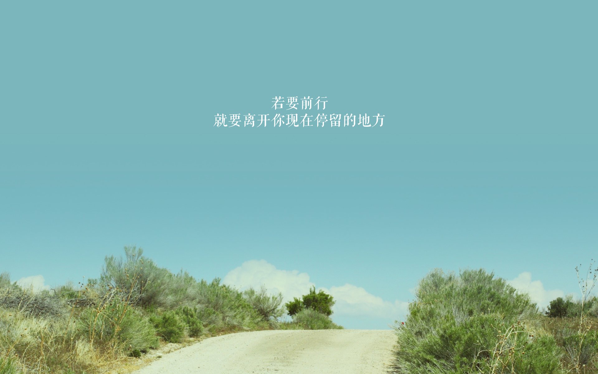 隔空双城记,文班亚马的掌控与深圳队的击溃