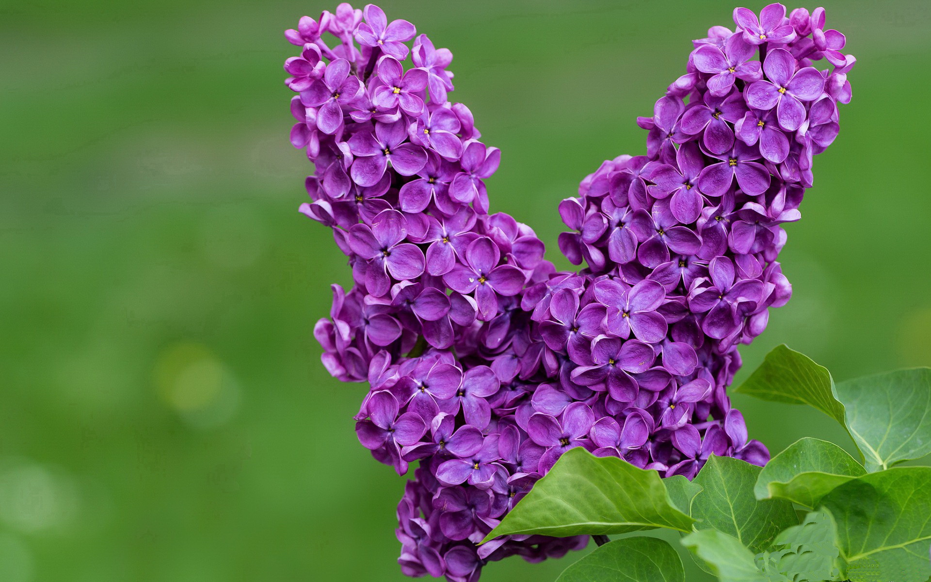 决胜0.1秒，那个让红色计时器永恒定格的争议一投